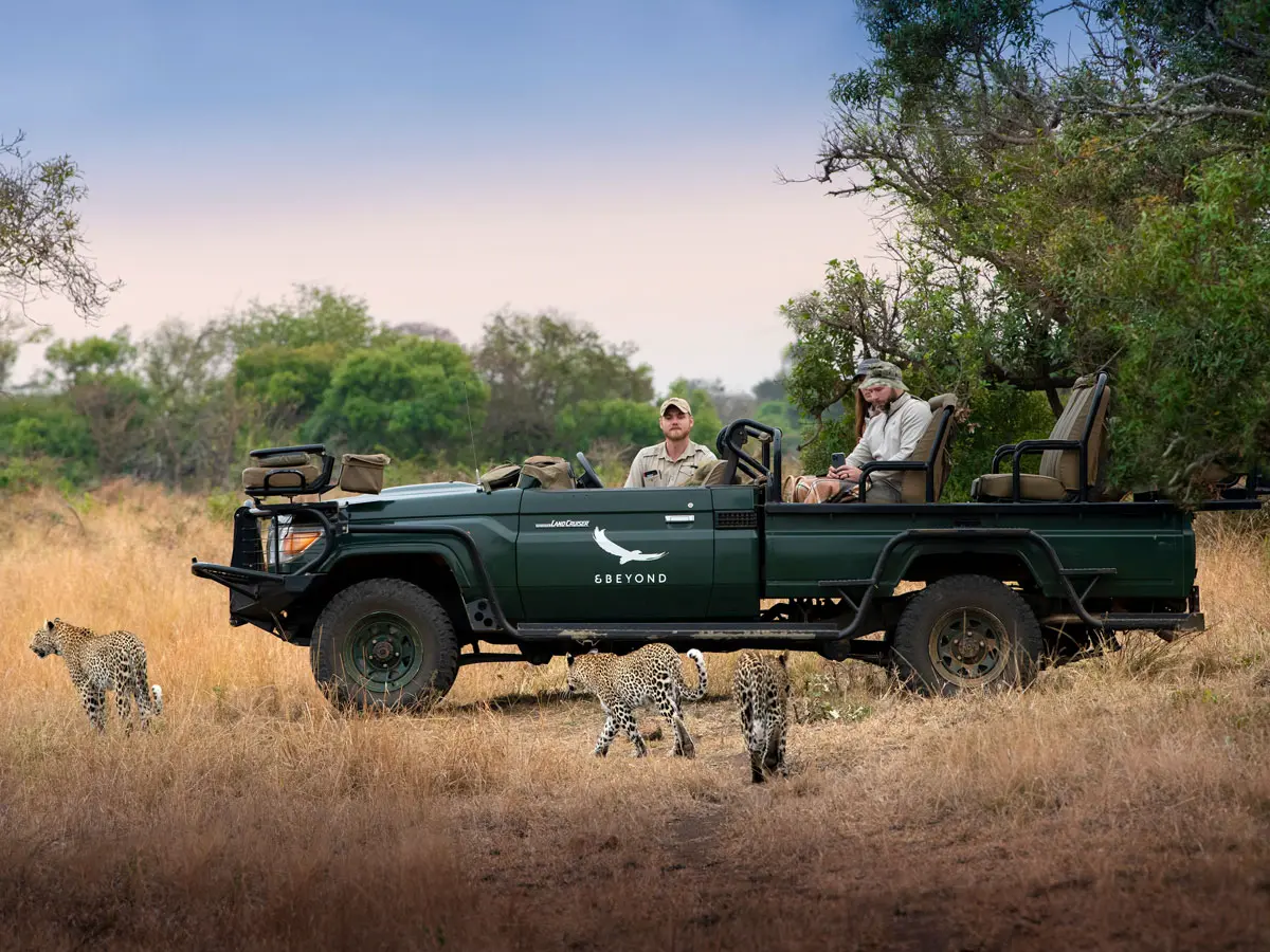 andBeyond Phinda Forest Lodge Game Drive
