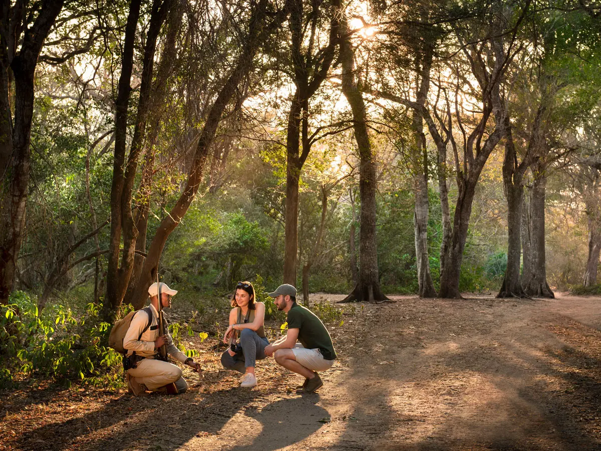 andBeyond Phinda Forest Lodge Walking Safari
