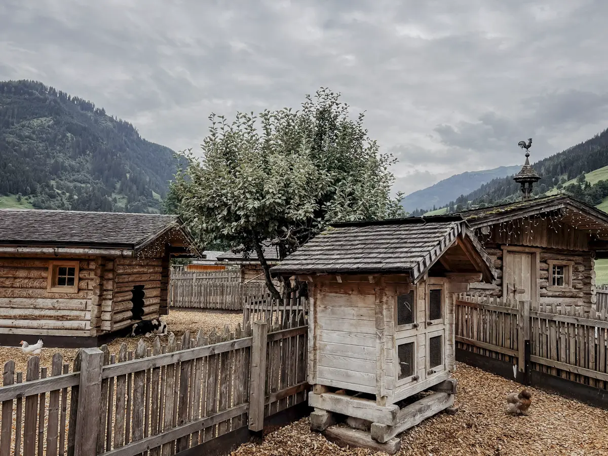 COCOtravel_Moargut_Sommer_Streichelzoo-13 Moargut Sommer Streichelzoo