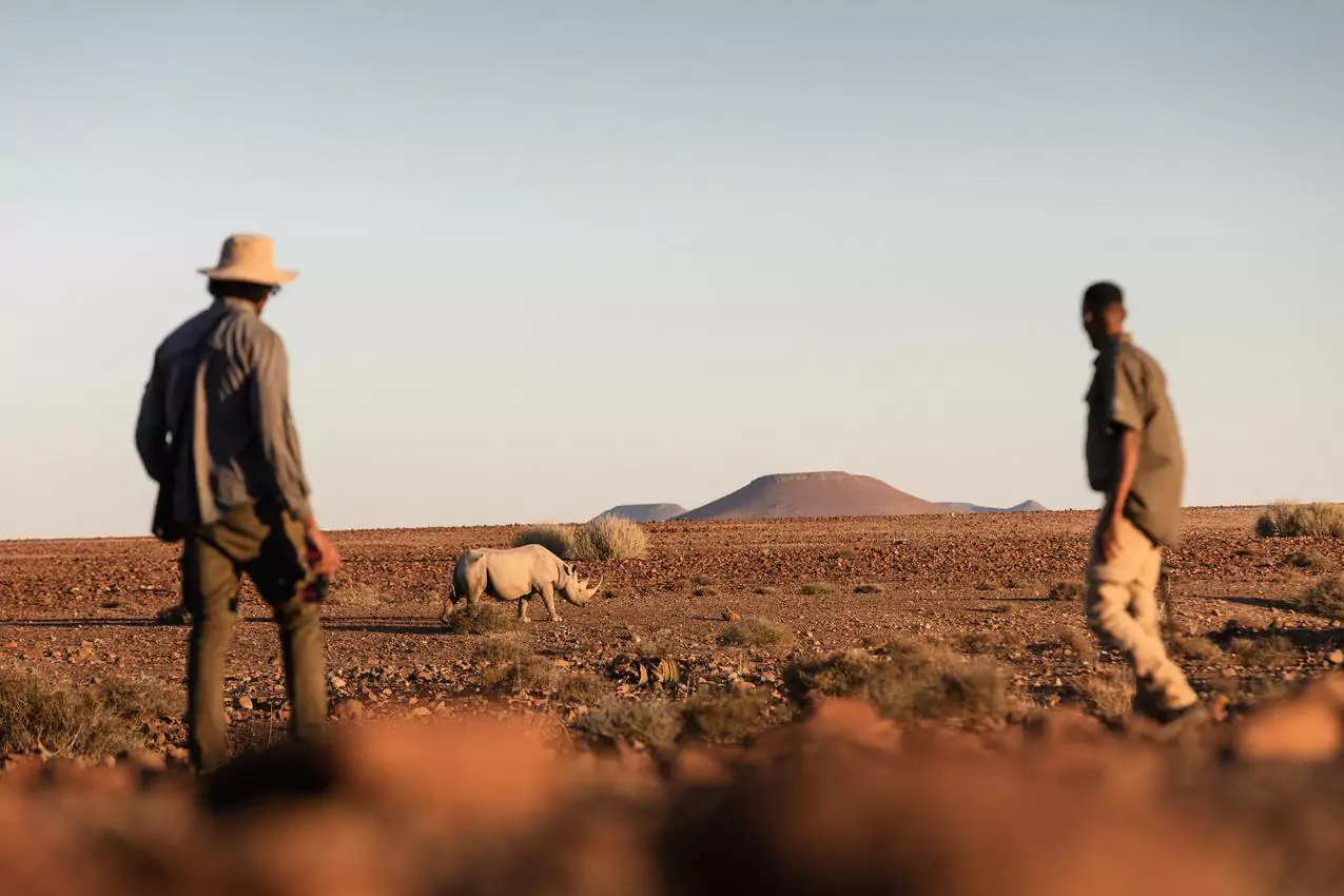 Wiilderness Desert Rhino Camp Namibia