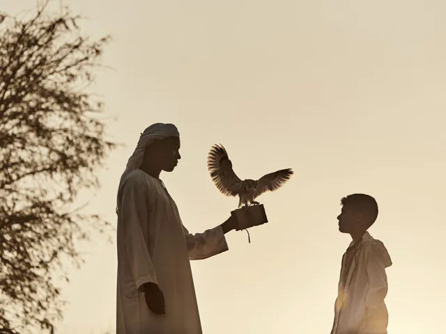 Ritz Carlton Al Wadi Desert