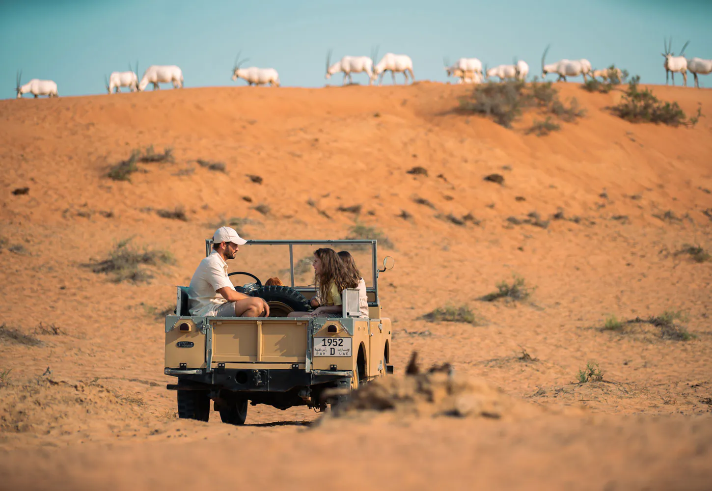 Ritz Carlton Al Wadi Desert