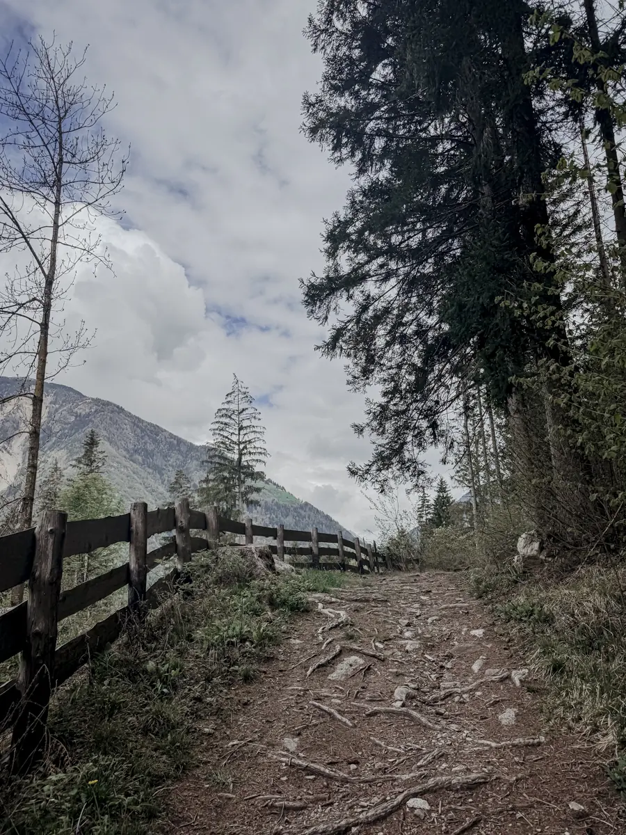 COCOtravel_Suedtirol_OLM_Wanderung COCOtravel_Suedtirol_OLM_Wanderung
