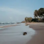 COCOtravel_UTMT_SriLanka_Meer