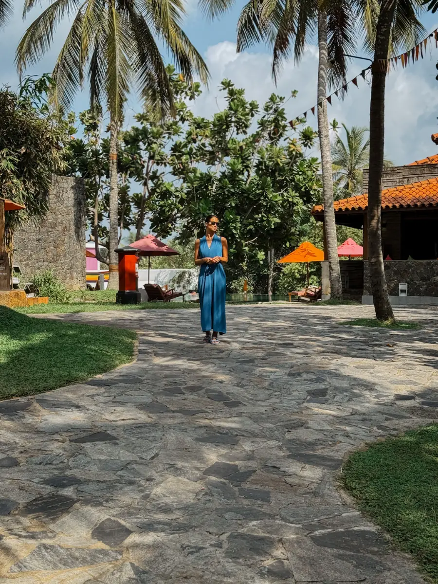 COCOtravel_UTMT_SriLanka_silvia_unterpalmen COCOtravel_UTMT_SriLanka_silvia_unterpalmen