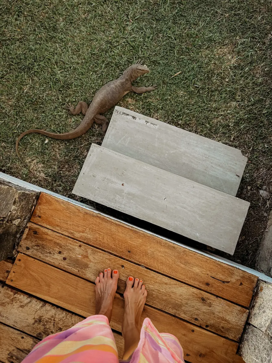COCOtravel_UTMT_SriLanka_varan_arten_silvia