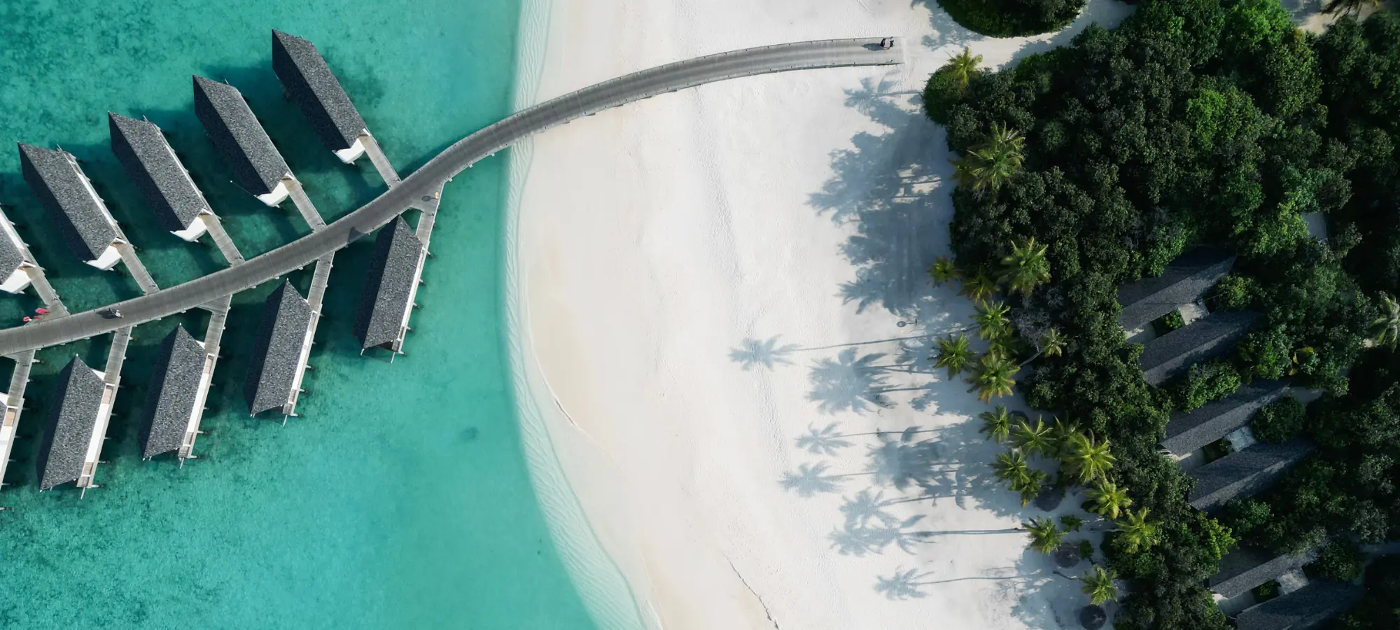 COCOtravel_FAQ_Header