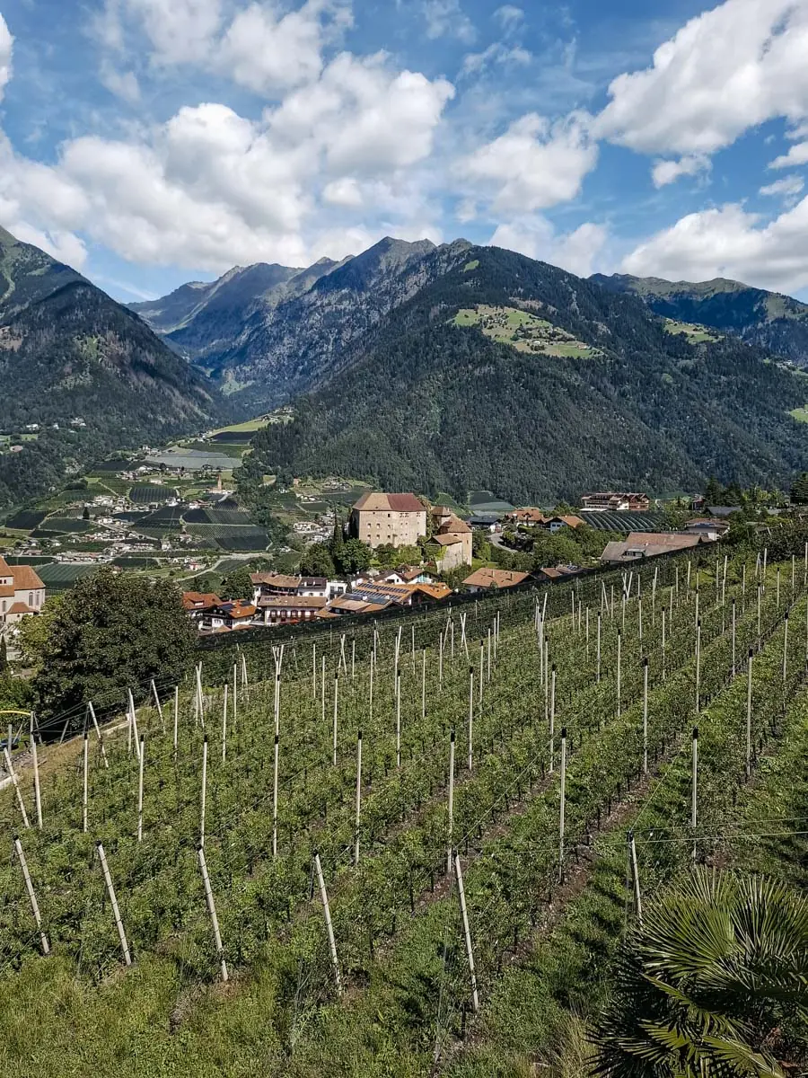 COCOtravel_Hohenwart_AusblickSpa