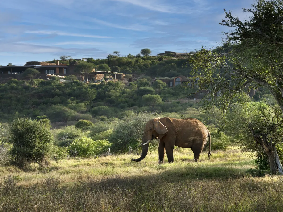 Kenya-Suyian-Lodge-Exterior-Elephant-View