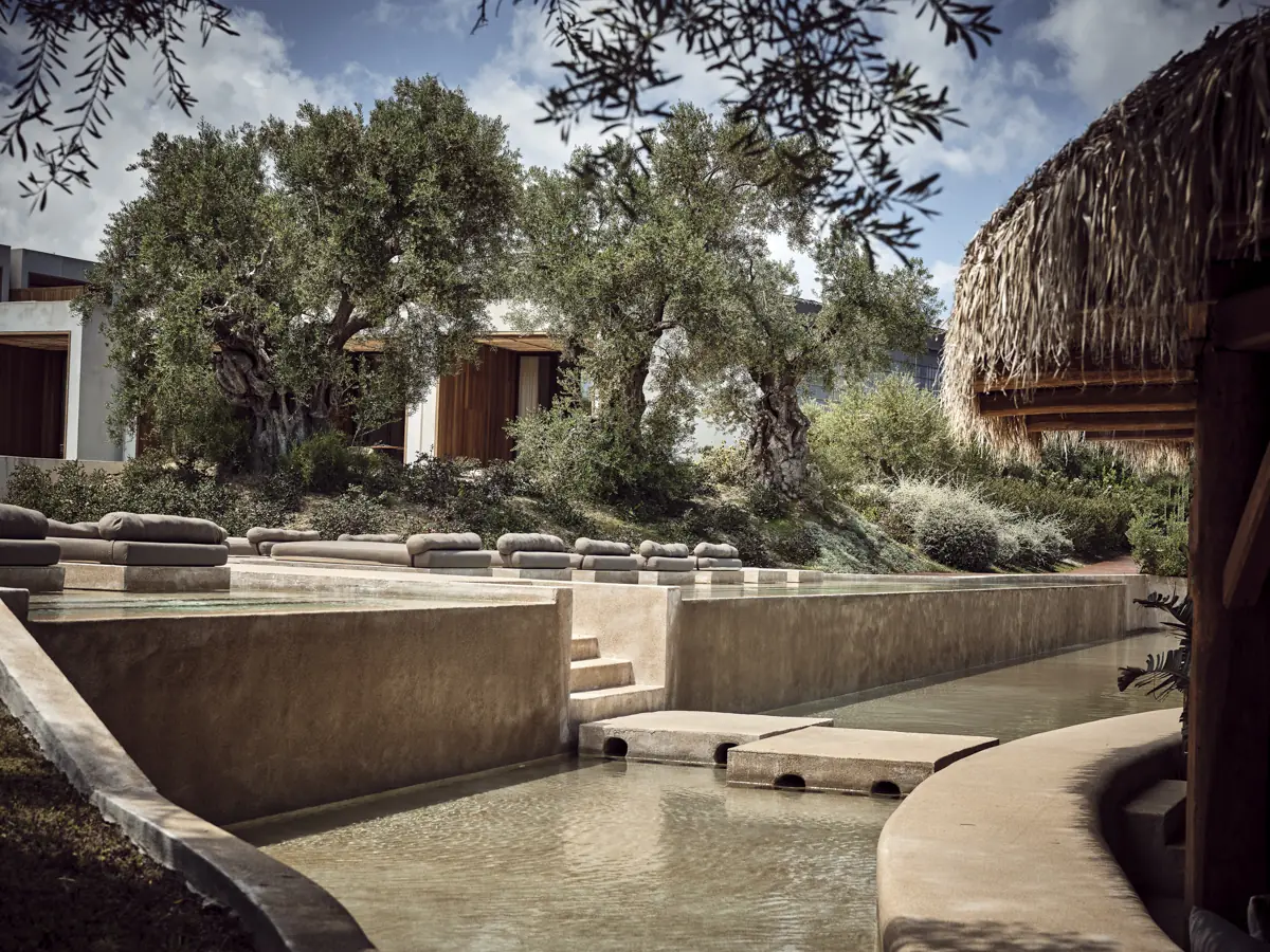 Olea_034