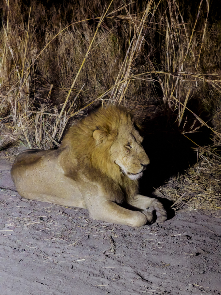 COCOtravel Afrika Wilderness Mokete