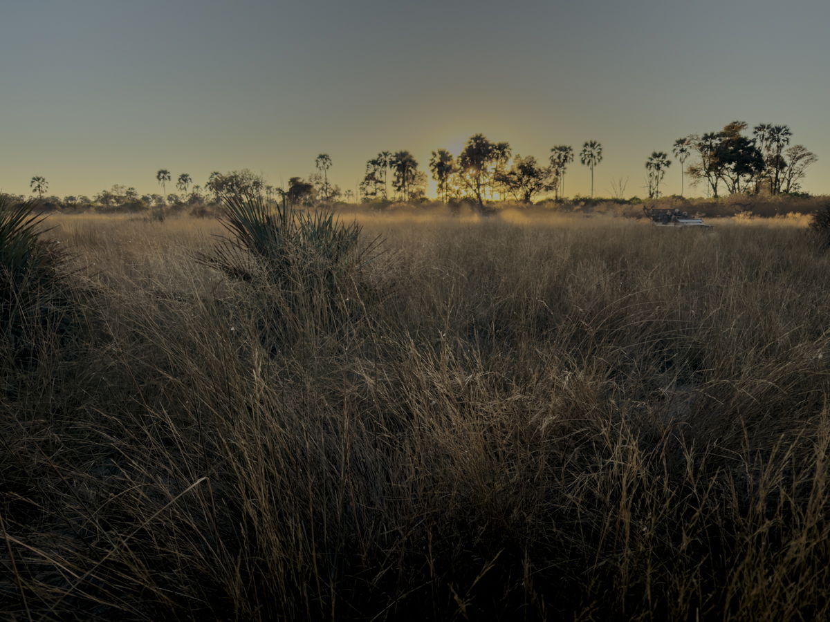 COCOtravel Afrika Wilderness Tubutree