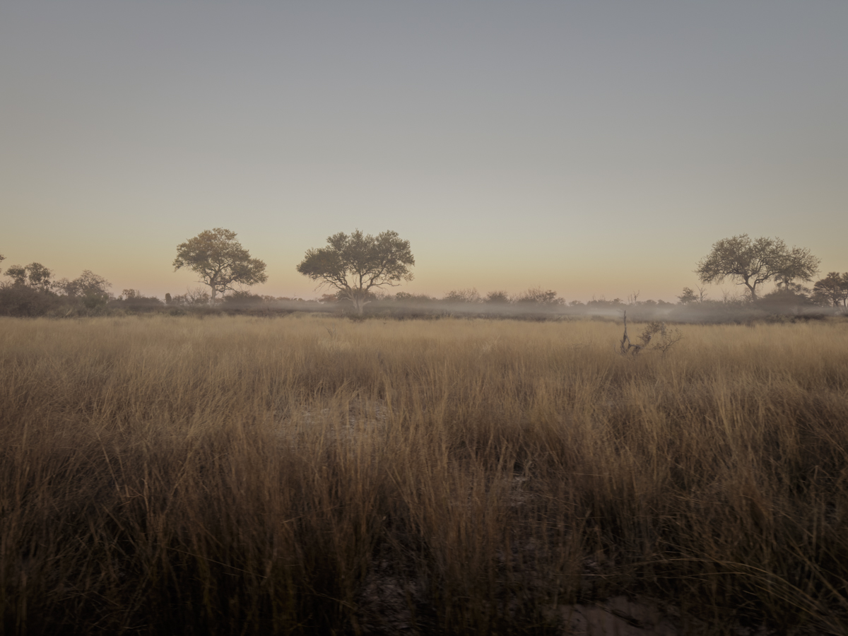 COCOtravel Afrika Wilderness Tubutree