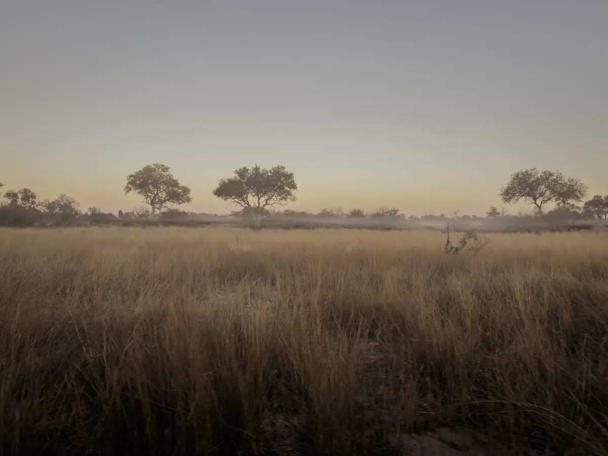 COCOtravel Afrika Wilderness Tubutree