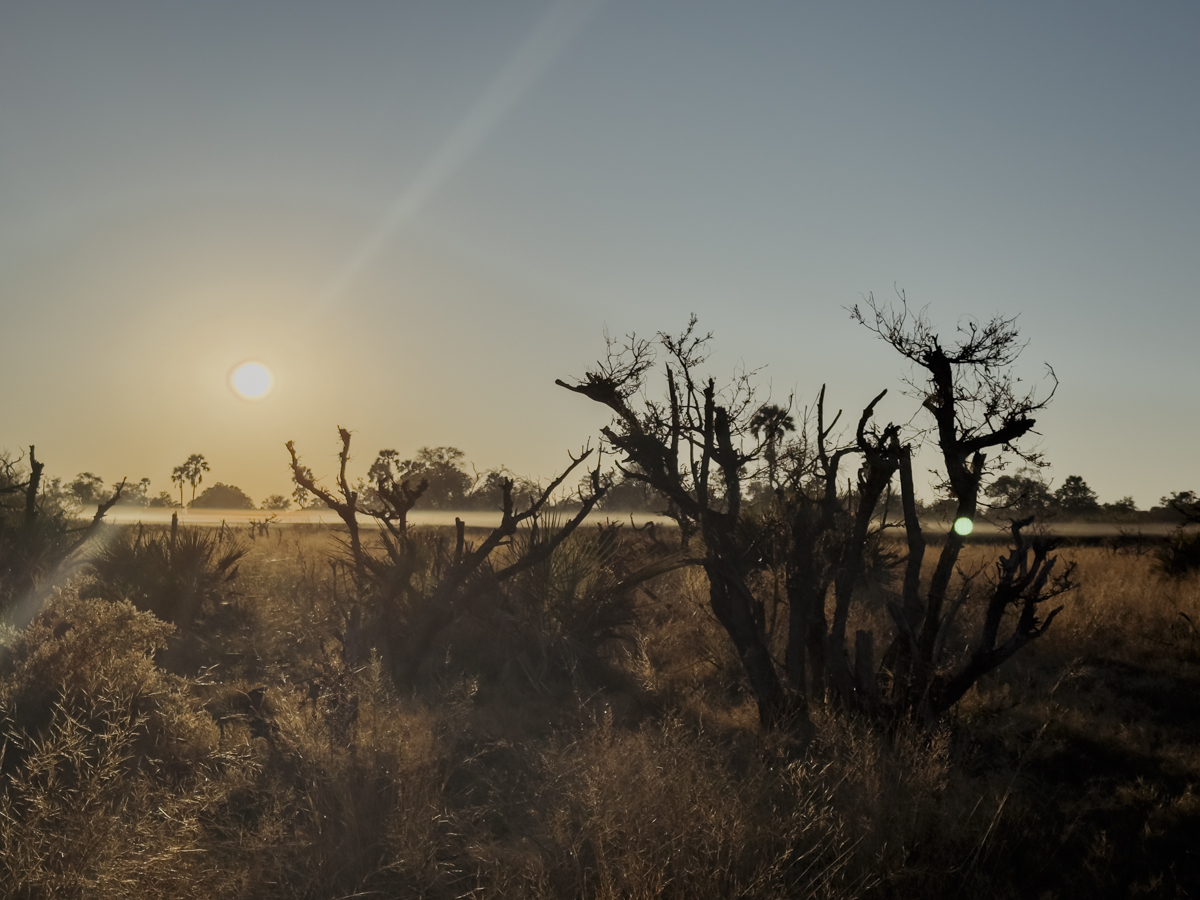 COCOtravel Afrika Wilderness Tubutree