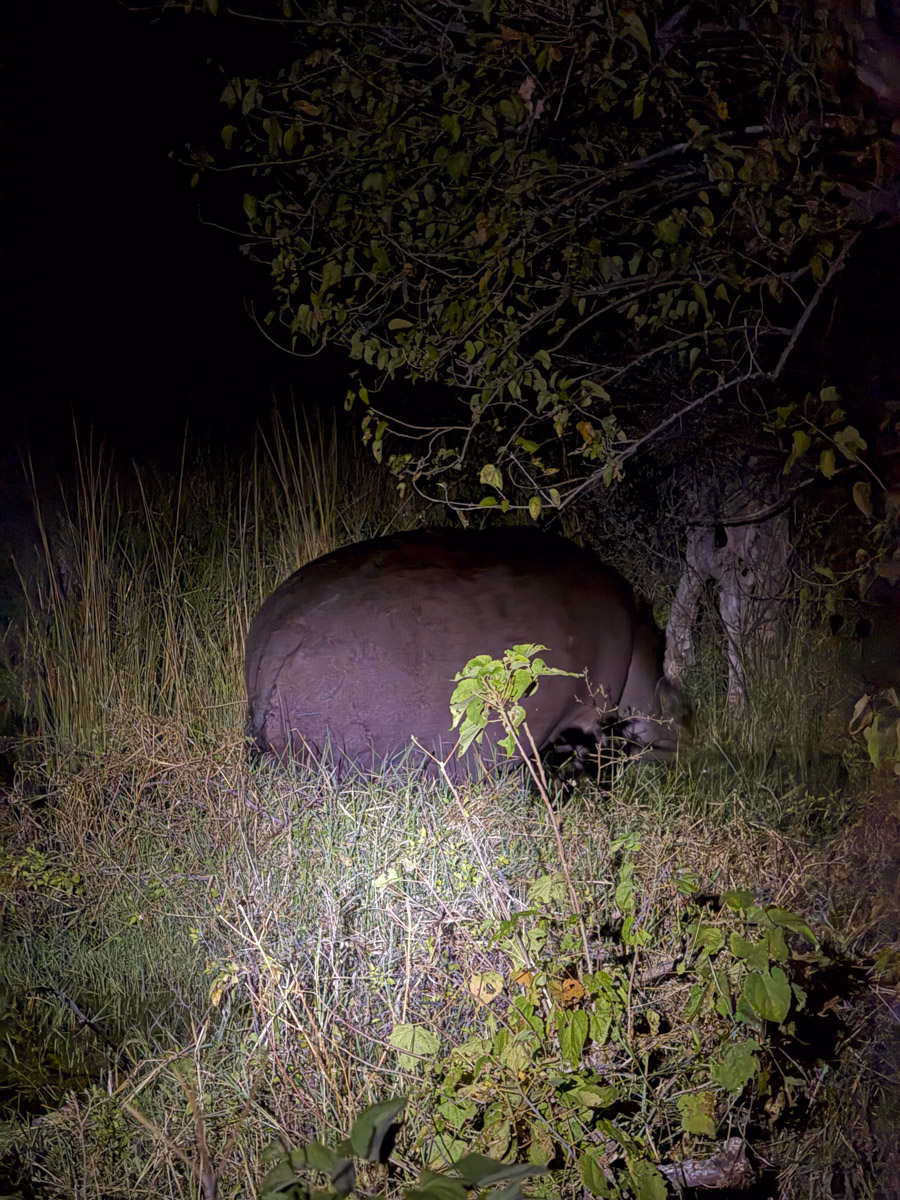 COCOtravel Afrika Botswana Wilderness VumburaPlainsNorth