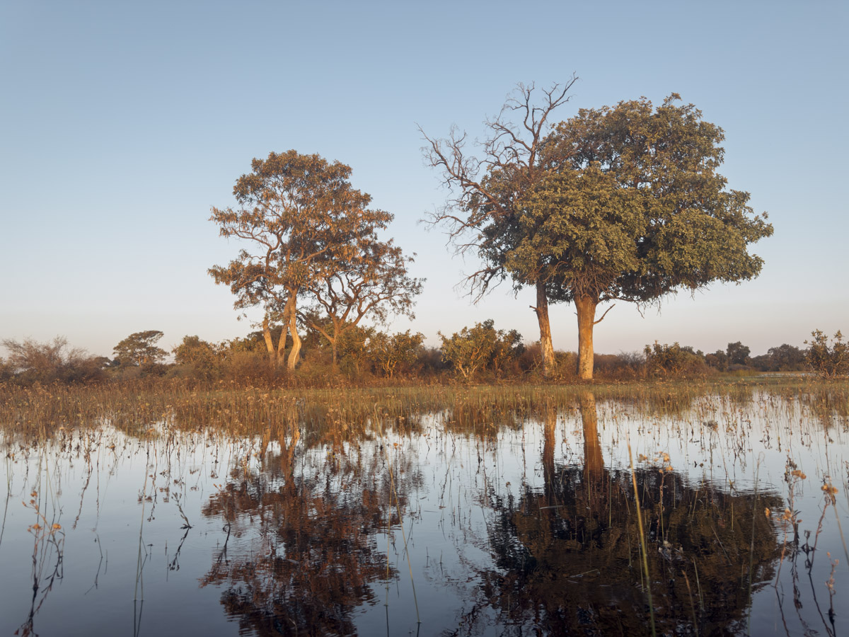 COCOtravel Afrika Botswana Wilderness VumburaPlainsNorth