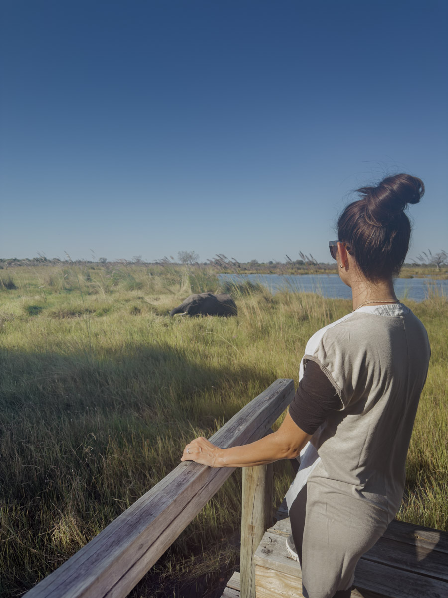 COCOtravel Afrika Botswana Wilderness VumburaPlainsNorth