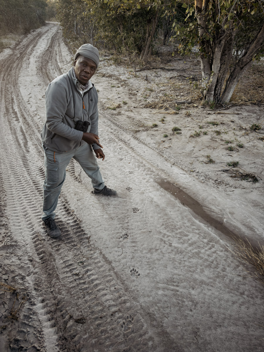 COCOtravel Afrika Botswana Wilderness VumburaPlainsNorth