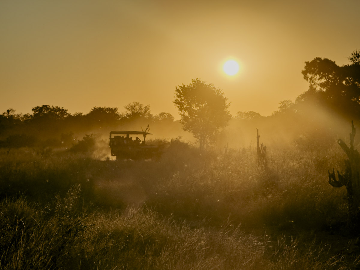 COCOtravel Afrika Botswana Wilderness VumburaPlainsNorth