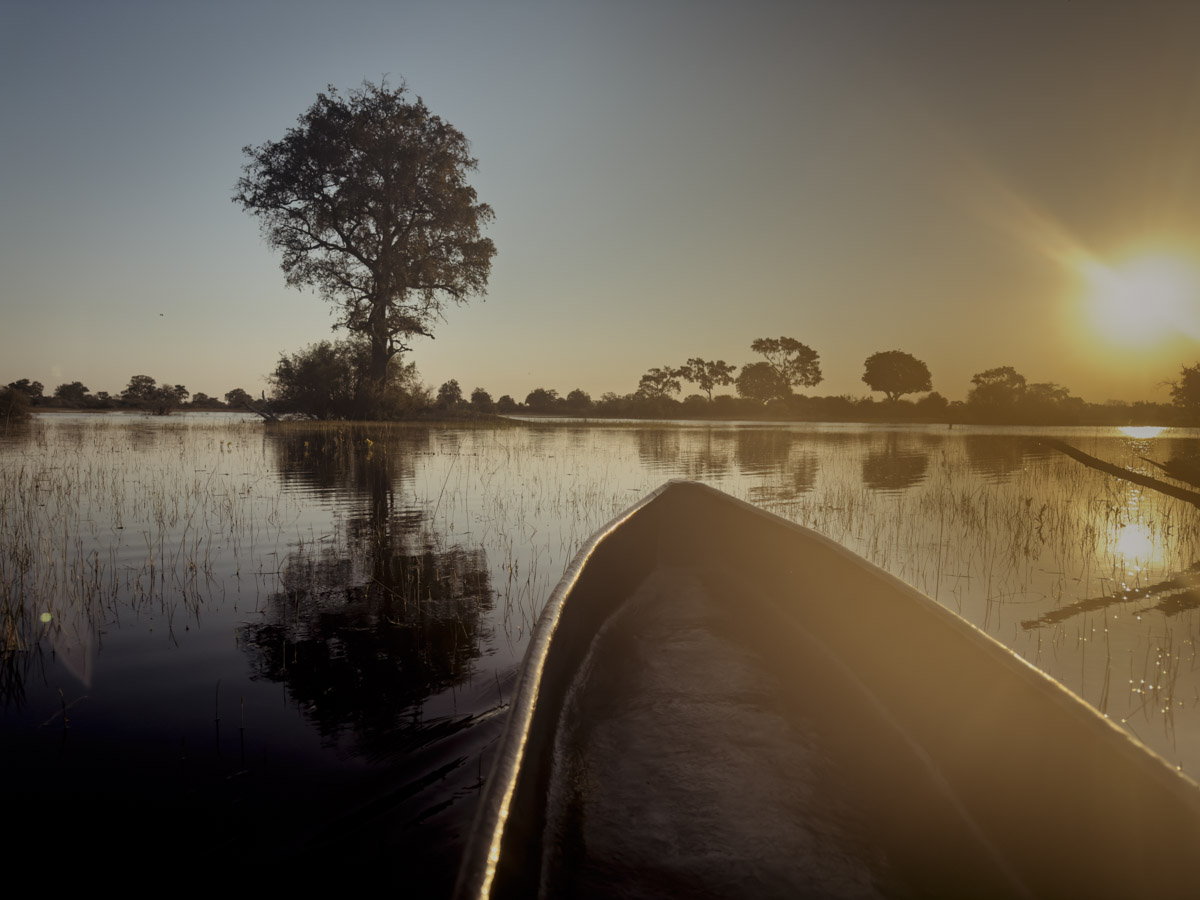 COCOtravel Afrika Botswana Wilderness VumburaPlainsNorth