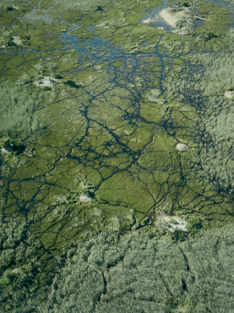 COCOtravel Afrika Botswana Wilderness VumburaPlainsNorth