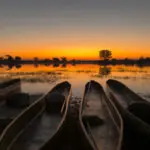 COCOtravel Afrika Botswana Wilderness VumburaPlainsNorth