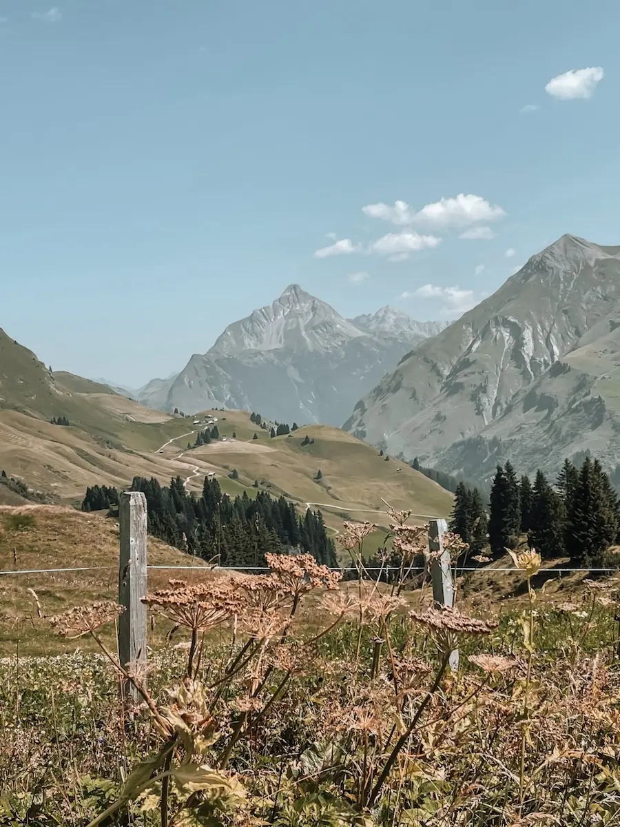 COCOtravel_LechArlberg_GoldenerBerg_umgebung3