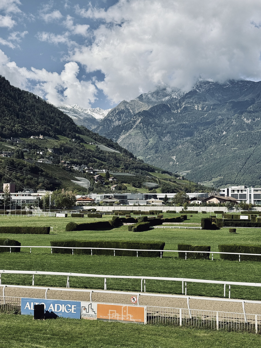 COCOtravel MignonMeran Pferderennen