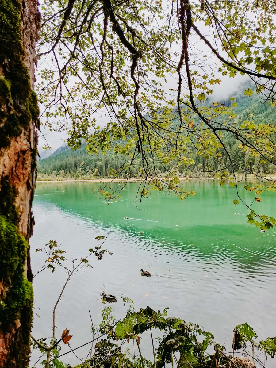 Prechtlgut