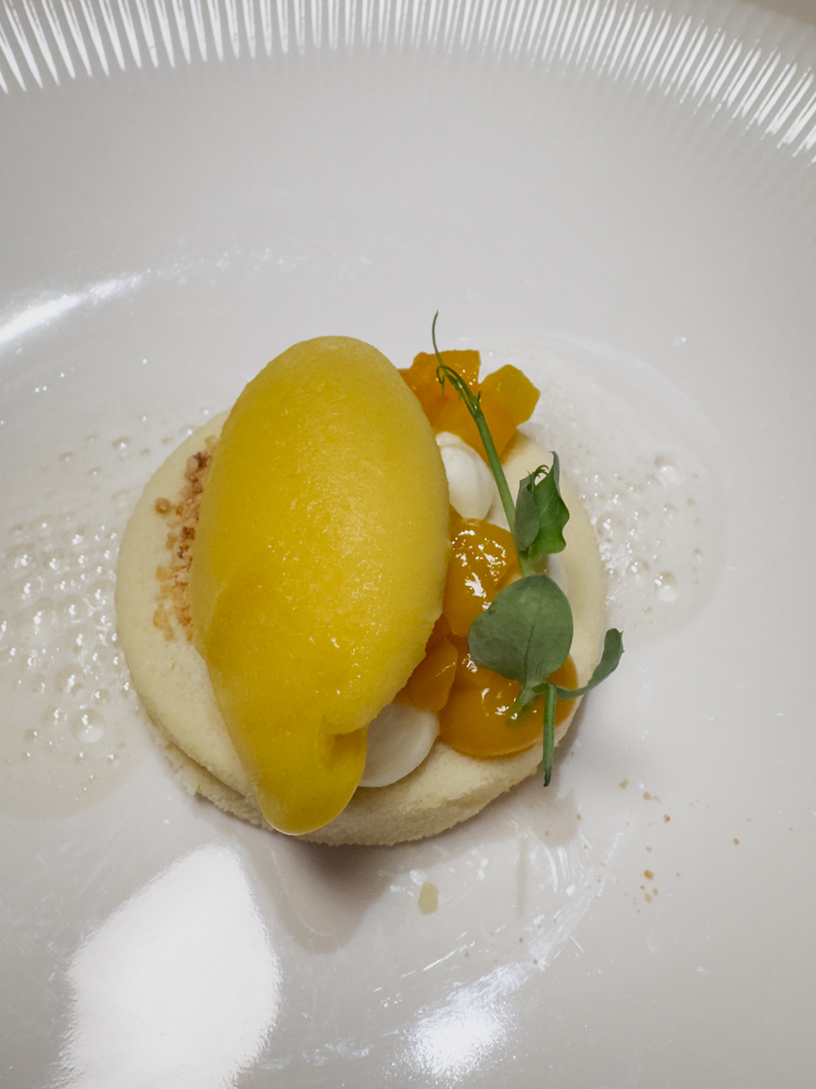 COCOtravel Suedtirol Solvie Restaurant Abendessen