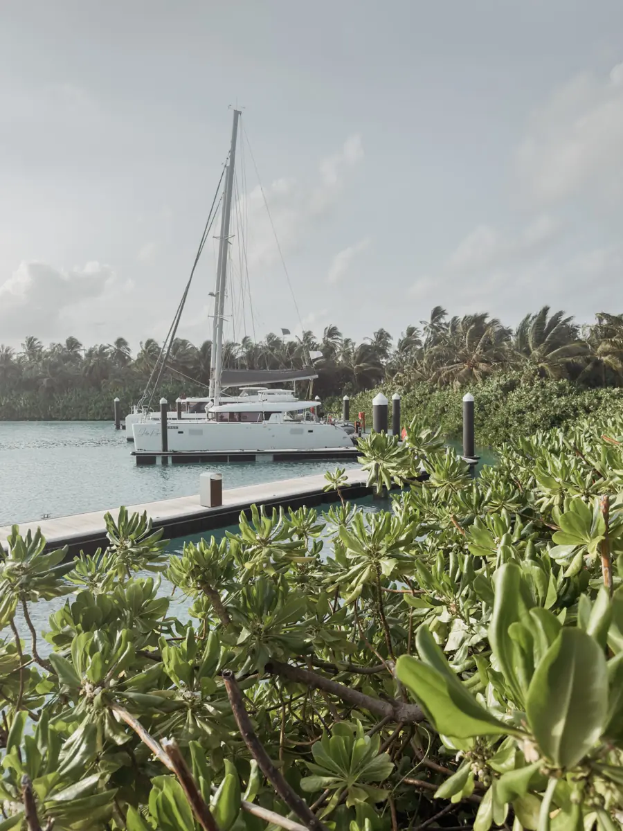 COCOtravel Patina Malediven Katamaran 12 COCOtravel Patina Malediven Katamaran 12