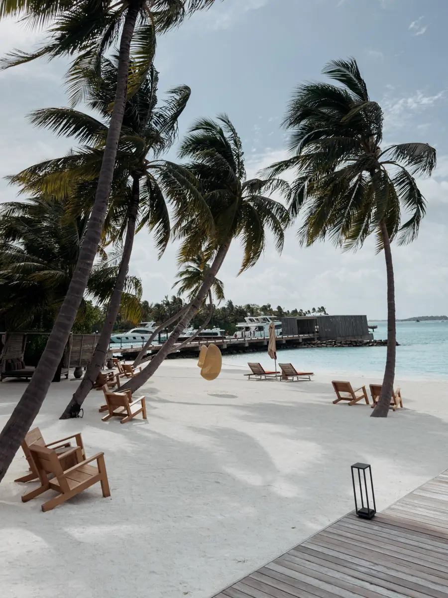 COCOtravel Patina Malediven Strand 4 COCOtravel Patina Malediven Strand 4