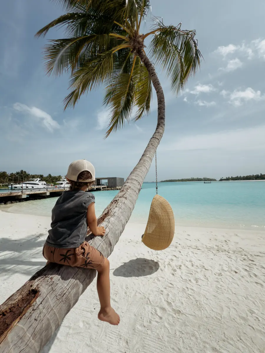 COCOtravel Patina Malediven Strand Palme 3 COCOtravel Patina Malediven Strand Palme 3