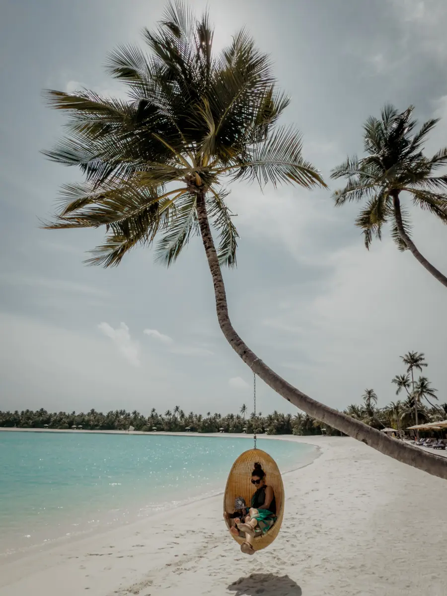 COCOtravel Patina Malediven Strand Palme 5 COCOtravel Patina Malediven Strand Palme 5