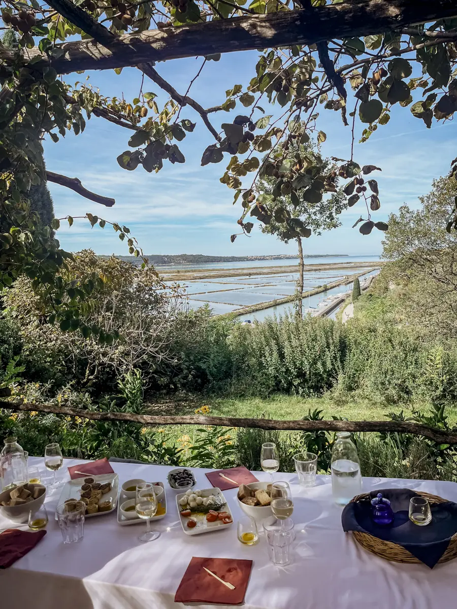 COCOtravel Slowenien Portoroz Kempinski Palace Olivenoelverkostung COCOtravel Slowenien Portoroz Kempinski Palace Olivenoelverkostung