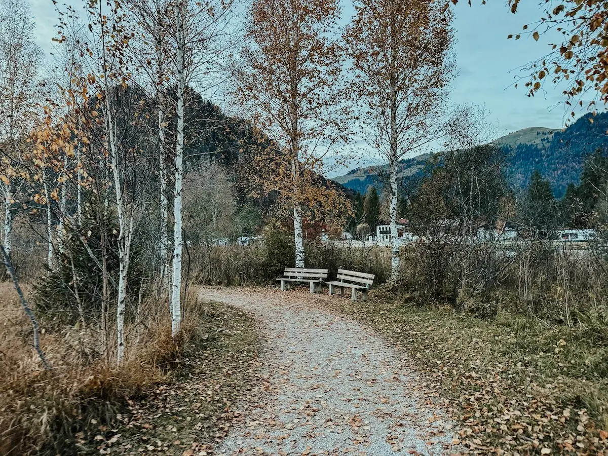 quer seeweg COCOtravel lakeside walchsee