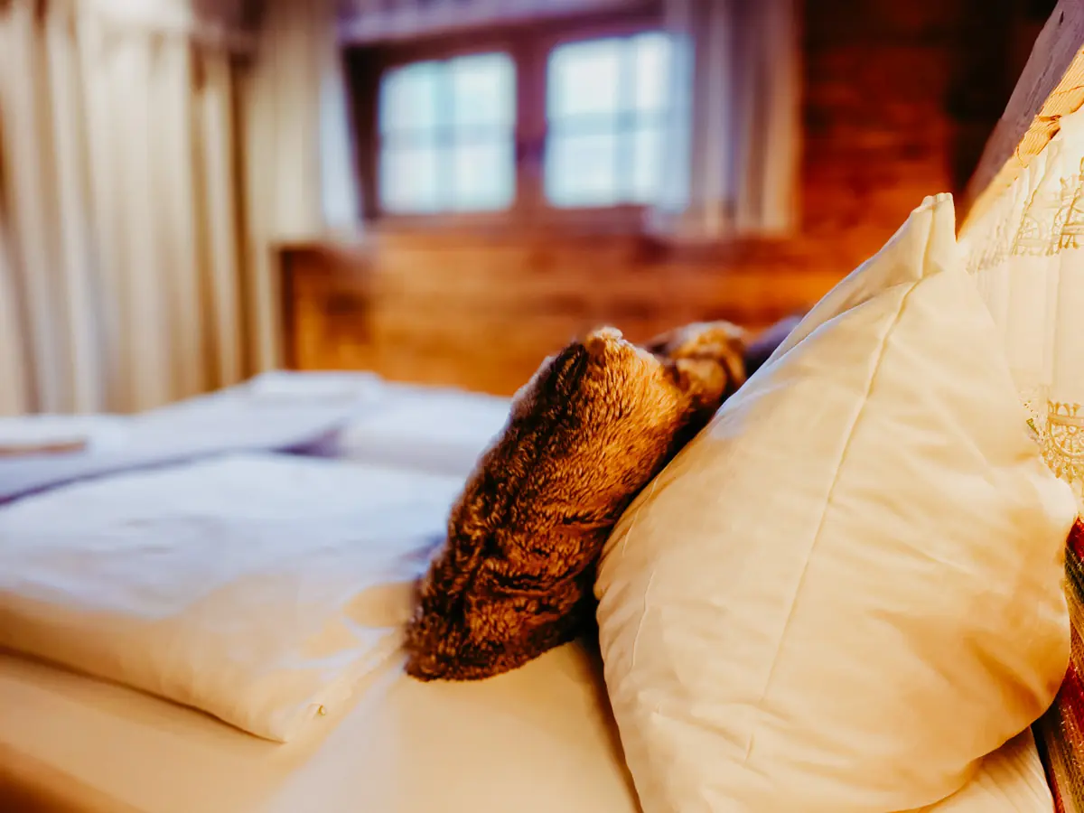 COCOtravel Prechtlgut Betthaupt