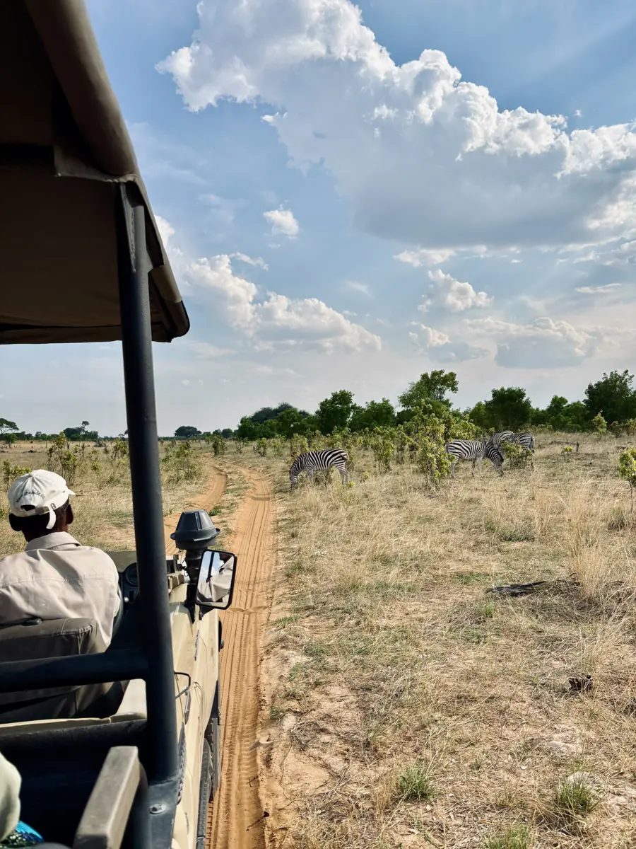 COCOtravel Suedafrika RovosRail Safari GameDrive 12 COCOtravel Suedafrika RovosRail Safari GameDrive 12