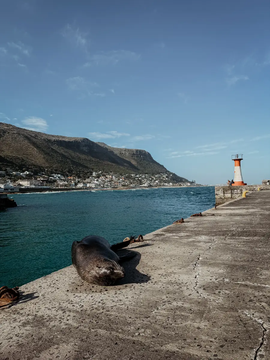 COCOtravel Suedafrika StJamesManorGuesthouse Kalkbay 17