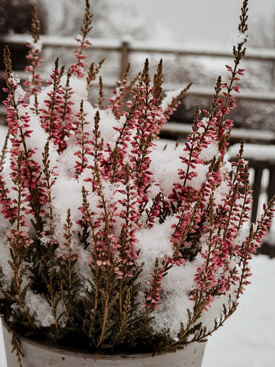 COCOtravel Südtirol Leitlhof Erika