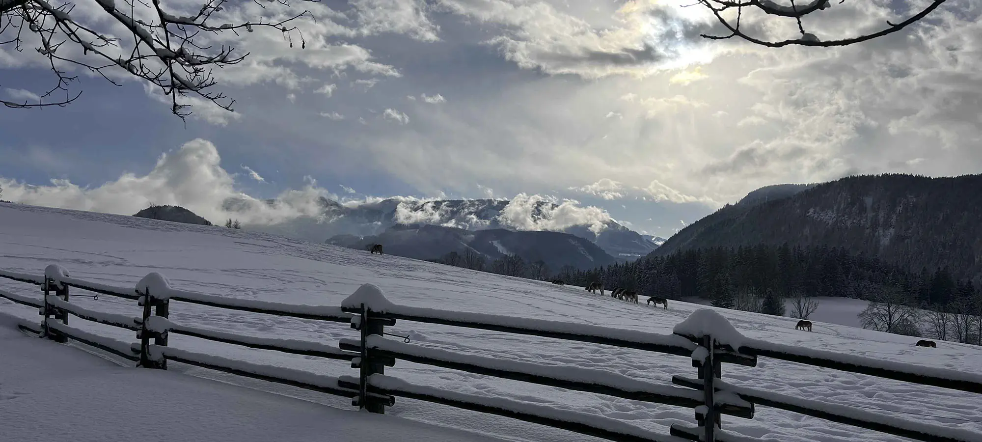 Winterstellgut, Annaberg, Aussicht auf die Berge