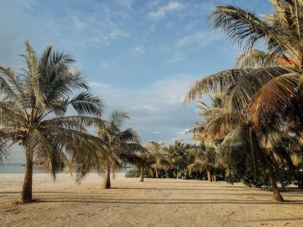 quer COCOtravel villa nautica maldives beach palmen