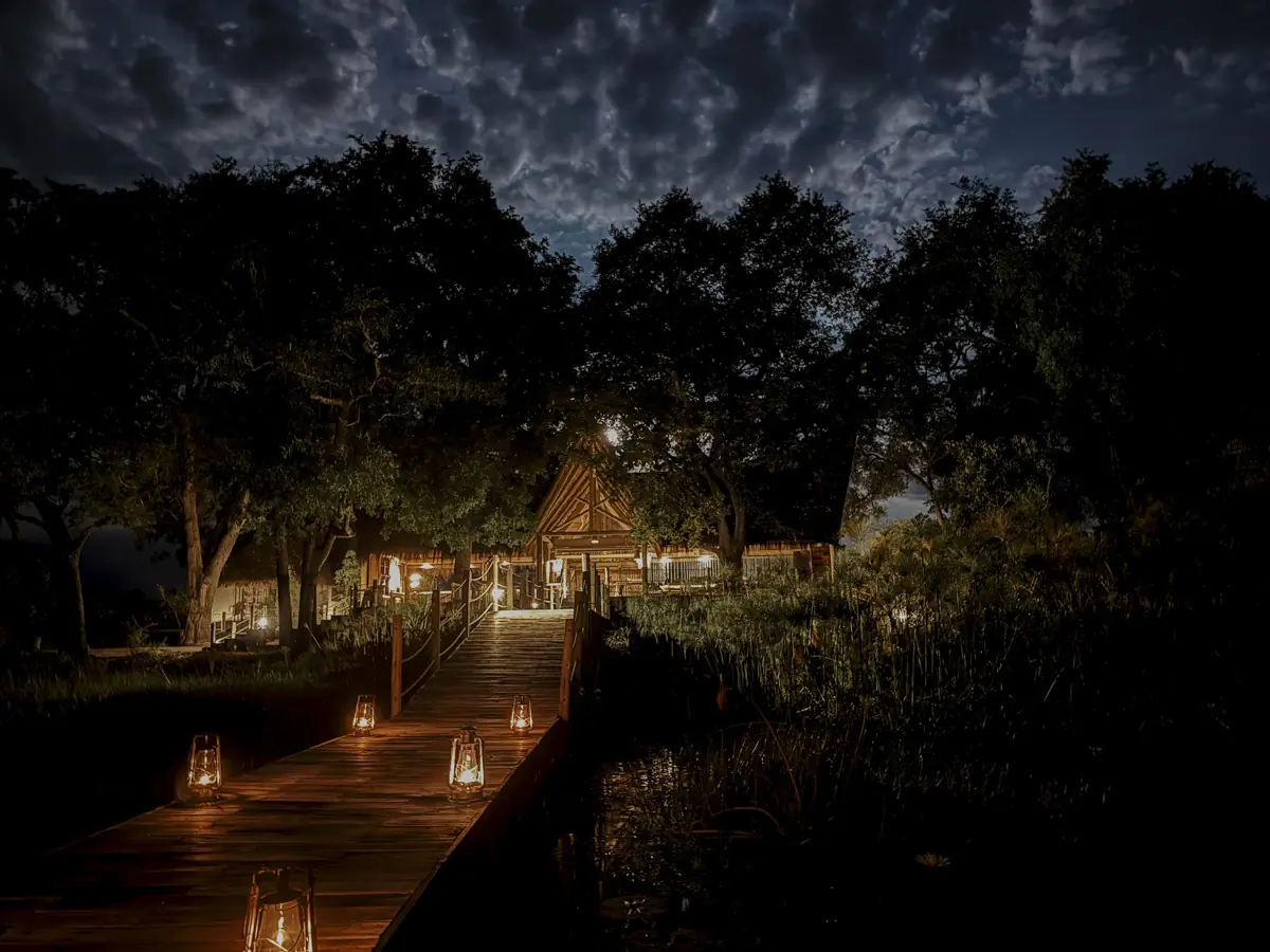 COCOtravel Botswana GreatPlains SitatungaPrivateIsland Nachtstimmung Camp 2 COCOtravel Botswana GreatPlains SitatungaPrivateIsland Nachtstimmung Camp 2