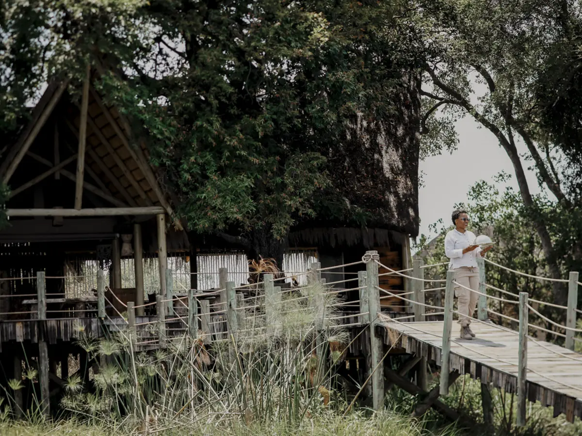 COCOtravel Botswana GreatPlains SitatungaPrivateIsland Outdoor COCOtravel Botswana GreatPlains SitatungaPrivateIsland Outdoor