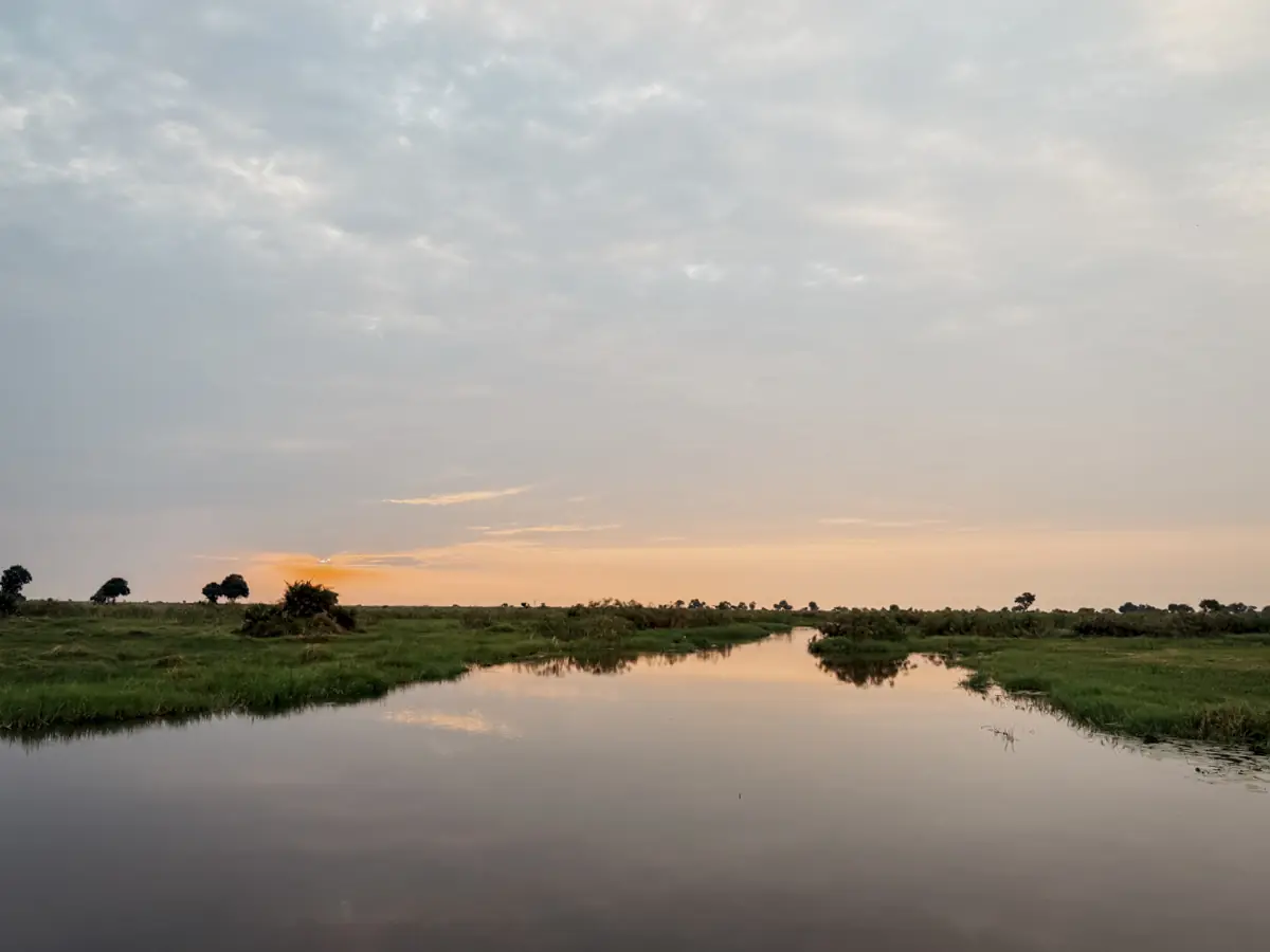 COCOtravel Botswana GreatPlains SitatungaPrivateIsland Safari 59 COCOtravel Botswana GreatPlains SitatungaPrivateIsland Safari 59